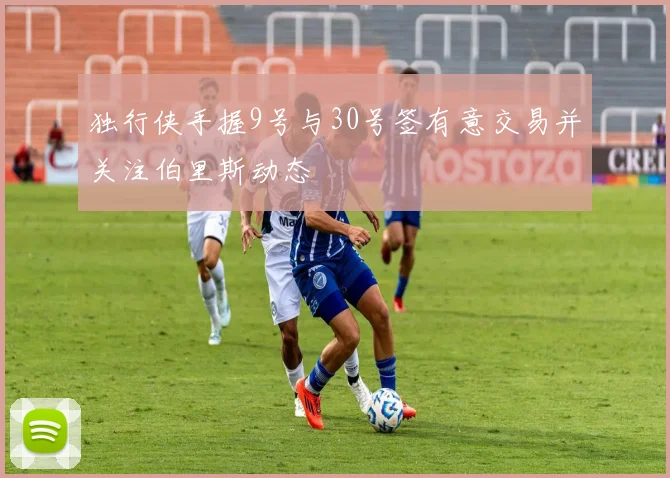 独行侠手握9号与30号签有意交易并关注伯里斯动态